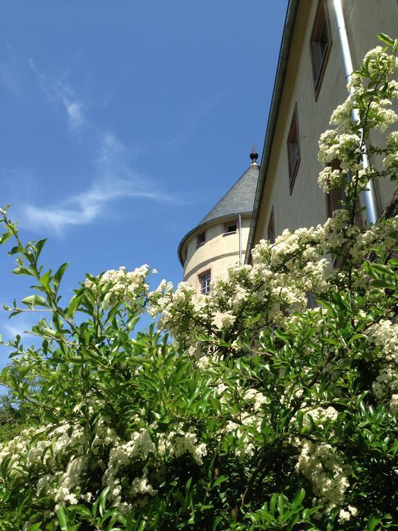 Hotel Ev.Familienferien-Und Bildungsstaette Ebernburg à Bad Münster am Stein-Ebernburg Extérieur photo