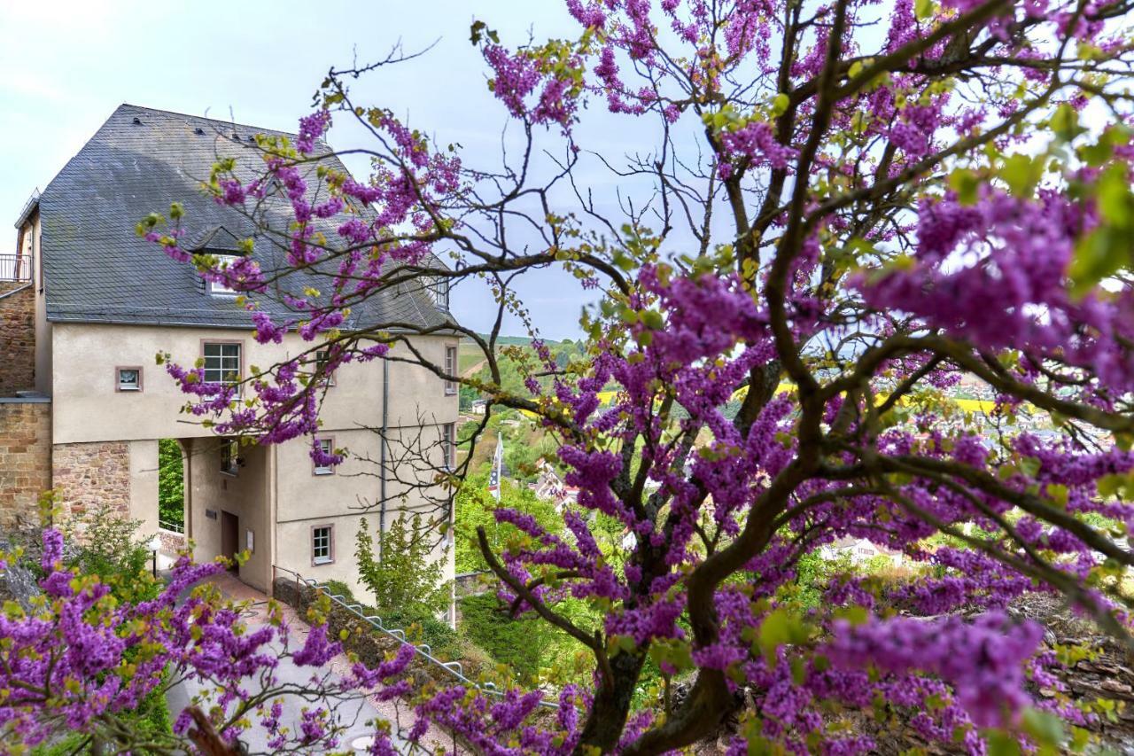 Hotel Ev.Familienferien-Und Bildungsstaette Ebernburg à Bad Münster am Stein-Ebernburg Extérieur photo